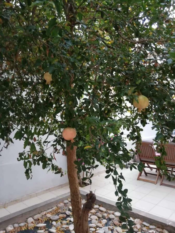 Apartment Pomegranate Heraklion (Crete)